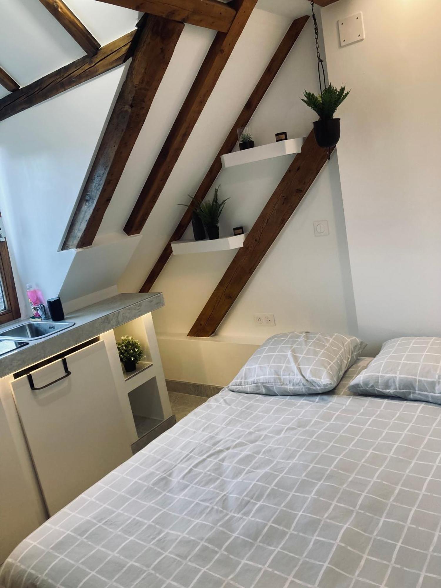 Petit Nid Sympa A Strasbourg Leilighet Eksteriør bilde