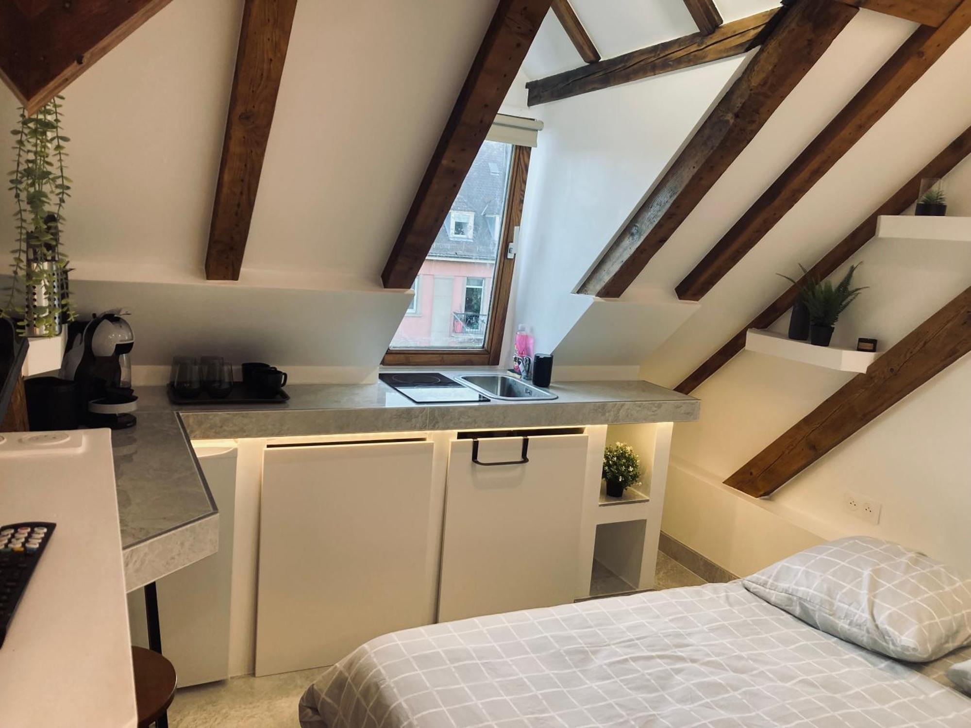 Petit Nid Sympa A Strasbourg Leilighet Eksteriør bilde